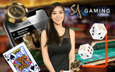 melhor casino online 2024